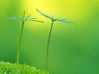 南寧市召開創(chuàng)國(guó)衛(wèi)先進(jìn)單位及個(gè)人表彰大會(huì)