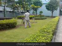 南寧第45屆體操世界錦標(biāo)賽主賽場(chǎng)、訓(xùn)練場(chǎng)病媒生物防制工作