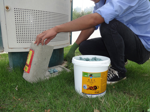 白蟻防治方法有哪些？